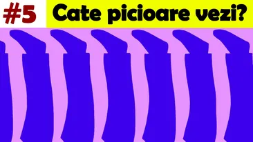 Test IQ de rezolvat în 30 de secunde | Câte picioare sunt, de fapt, în această imagine?