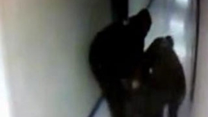 VIDEO REVOLTATOR Angajatii de la morga tarasc cadavrele pe jos