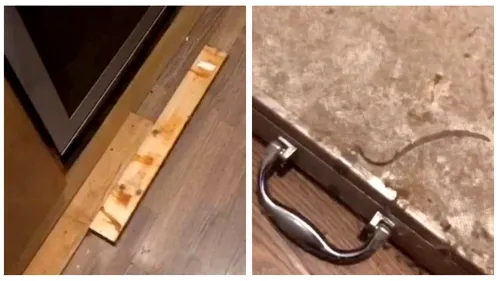 Ce descoperire bizară a făcut o femeie în spatele lambriurilor de lemn din bucătărie