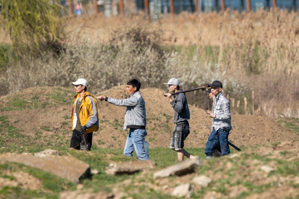 Un martor i-a surprins în timp ce prindeau popândăii / foto: Ziua de Vest