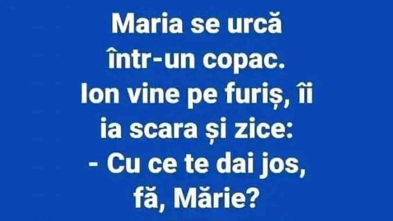 BANC | Maria se urcă într-un copac. Ion vine pe furiș și ia scara: "Cu ce te dai jos?"