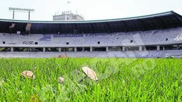 Cluj Arena a devenit ciupercarie!