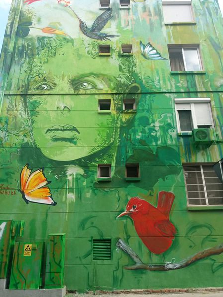 Cu câteva luni în urmă, doi artiști au pictat fațada unui bloc din Craiova, inspirați de perioada stării de urgență