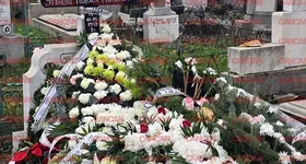 Galerie foto - poza 4