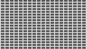 Test de perspicacitate | Găsiți numărul 808 ascuns printre 888 din imagine