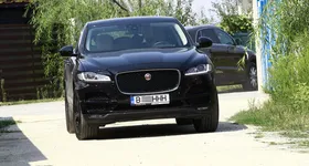 Galerie foto - poza 3