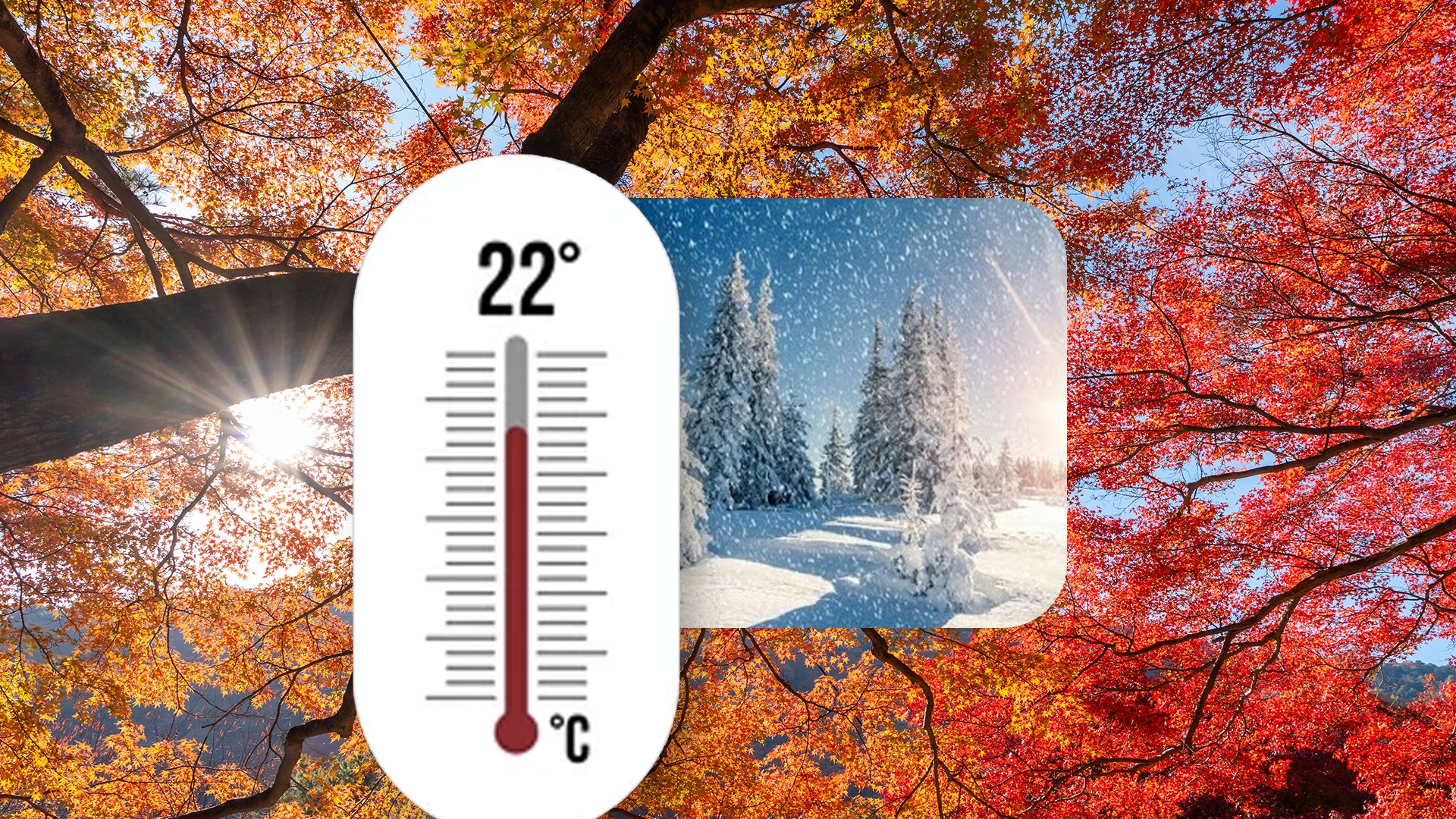 Prognoza meteo azi, 19 octombrie 2026. . Nici toamna nu mai știe ce vrea! De la 22 de grade la ninsoare, într-o singură zi
