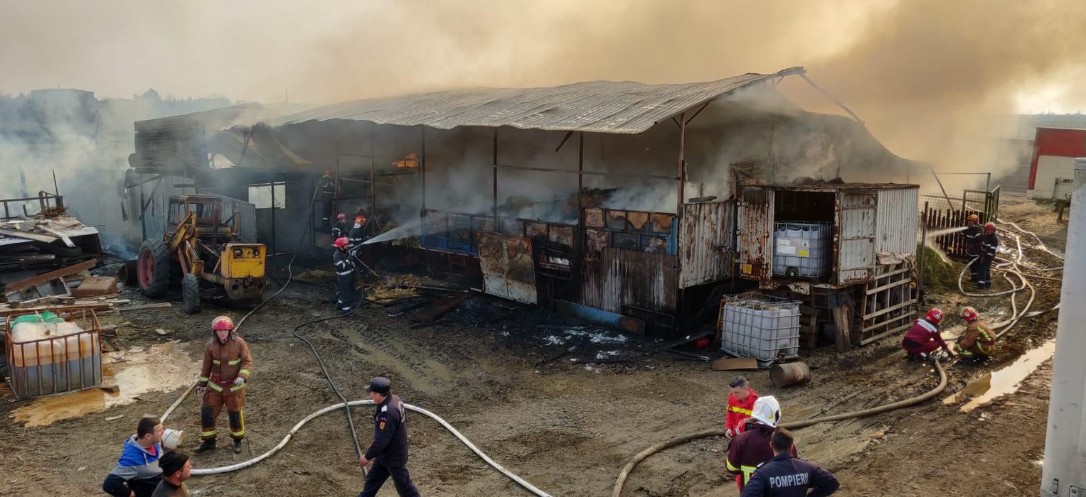 Incendiu violent în Prahova. Pompierii se luptă cu flăcări imense | VIDEO EXCLUSIV