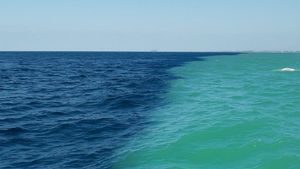 Motivul pentru care Marea Nordului și Marea Baltică nu se amestecă. Fenomenul rarisim care a trasat o "graniță" între cele două mări