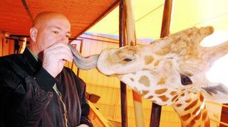 Girafele lui Michael au murit de frig