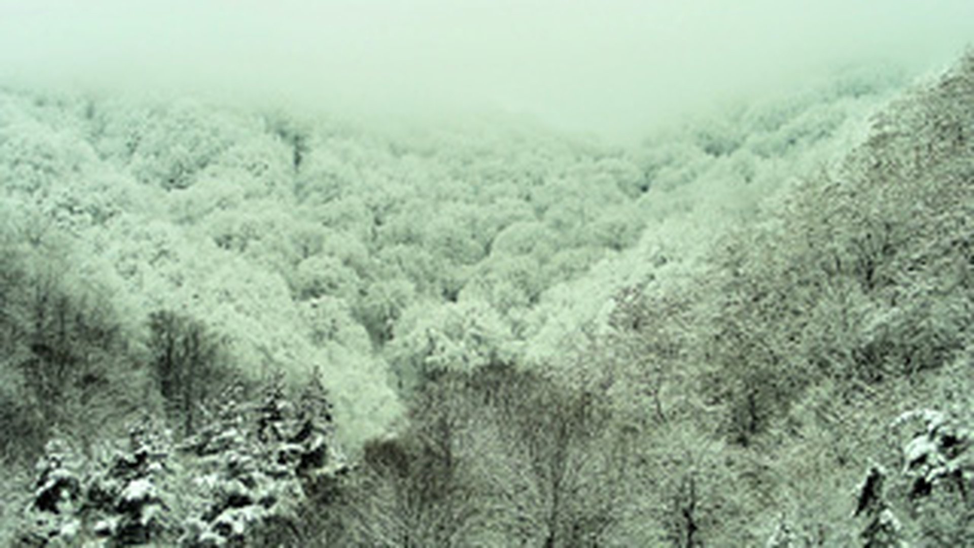 Circulatia pe Valea Oltului este inchisa din cauza pericolului de avalanse de pe versanti