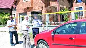 Hotii au intrat noaptea in vila Andreei Cretulescu