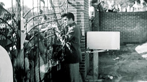Fotografii nemaivazute cu Elvis