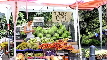 Canicula a dus la mutatii genetice? Fructe exotice made in Dabuleni