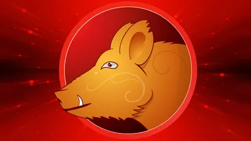 Anul Porcului de pământ 2019. Cum vom reuși să strângem bani