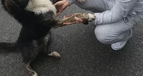 Galerie foto - poza 2