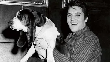 Imagini de colectie cu cei mai mari artisti din lume alaturi de patrupedele lor!