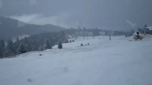 Ninsoare ca în povești în România! Stratul de zăpadă depus atinge câțiva centimetri