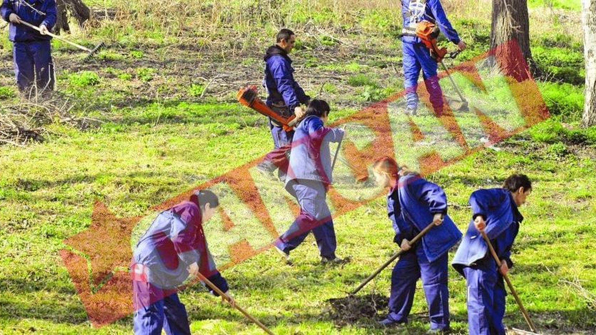 O institutie a municipalitatii taie frunze la caini de 1.000.000 euro pe an