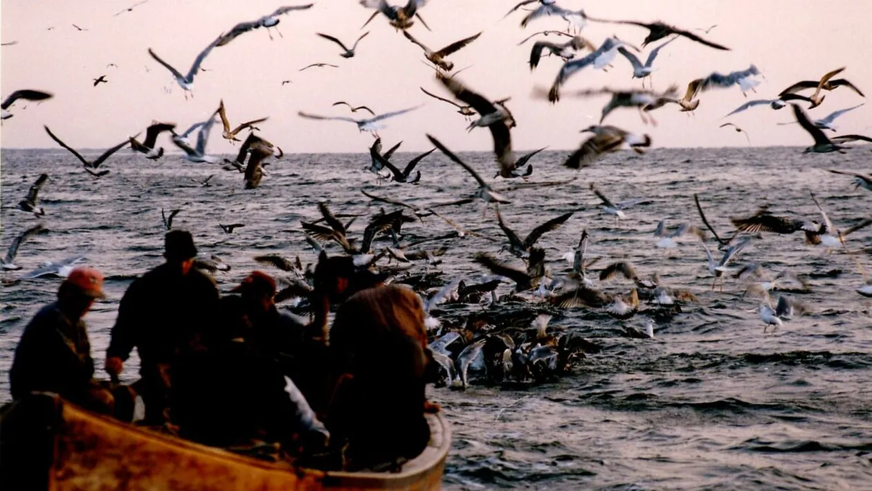 Delta Dunării: între gheață și speranță. Douăzeci de ani de supraviețuire la capătul hărții