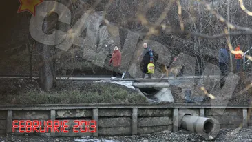 Tomi ii da ritmul! Secretul tineretii fara batranete, marca Irina Loghin