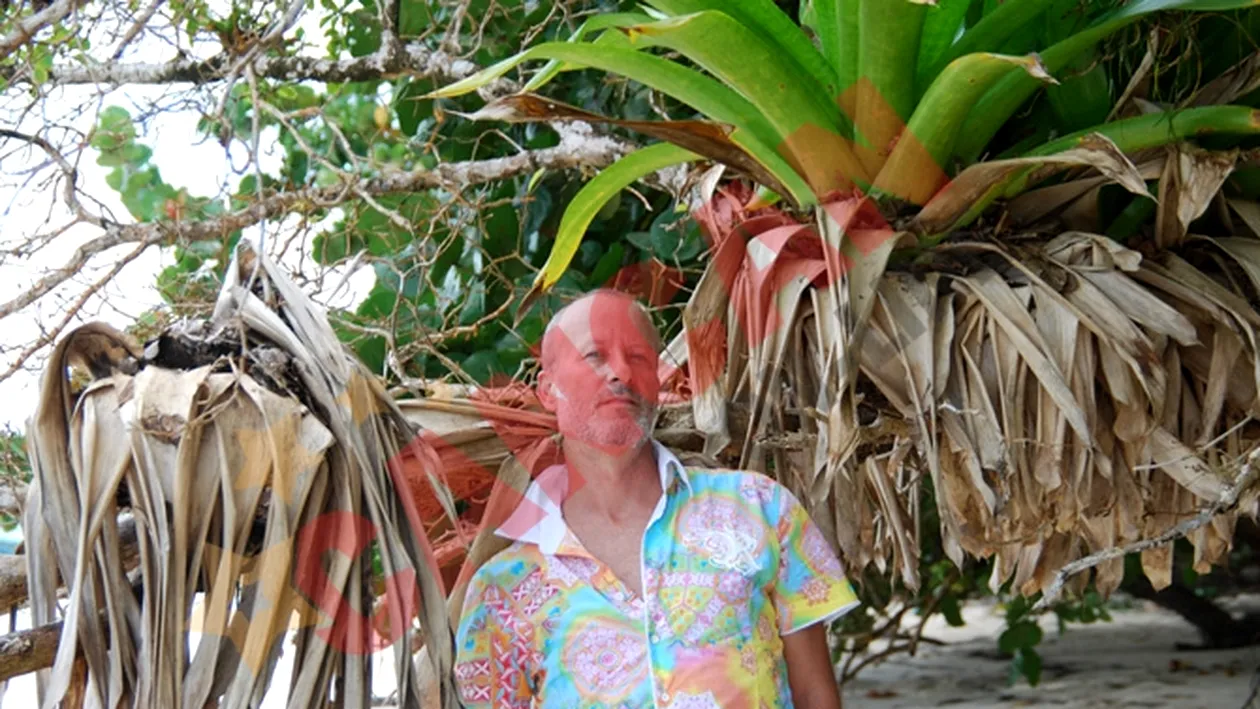 Ministrul Finantelor il desfiinteaza pe Andrei Gheorghe: Dupa trei zile era muci