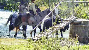 Kevin Costner al nostru arata mai bine decat originalul. Tu ce crezi?