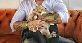 Galerie foto - poza 1