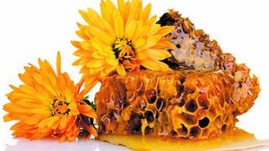 Propolisul, un antibiotic natural