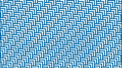 Test de inteligență pentru genii | Ce animal vezi în această iluzie optică?