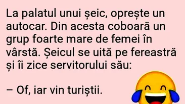 BANCUL ZILEI | Șeicul și servitorul