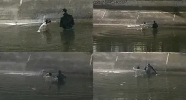 Doi oameni fără adăpost au fost salvați în ultima clipă din râul Dâmbovița, după ce au intrat în apă pentru a strânge PET-uri