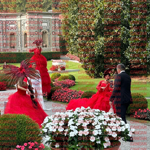 Imagine Galerie #1
