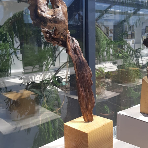 Imagine Galerie #1