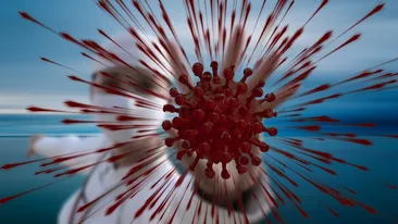 Coronavirus România, 30 noiembrie. Doar 3.826 cazuri noi de persoane infectate cu SARS – CoV – 2, în ultimele 24 de ore