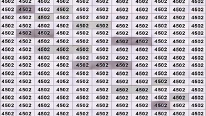 TEST IQ | Identifică singurul număr care nu este 4502! Dacă reușești în 7 secunde, ești un geniu