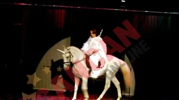 Gabriel Dutu, protagonistul din Narcisa salbatica, innebunit dupa adrenalina