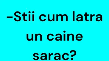 Bancul începutului de săptămână | Cum latră un câine sărac