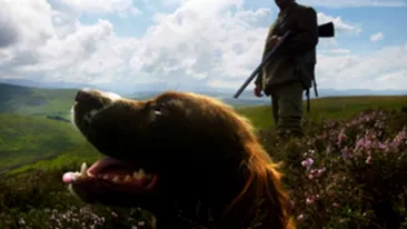 Un caine si-a impuscat stapanul la vanatoare