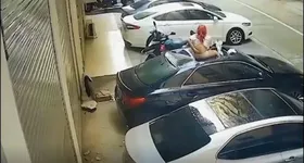 Galerie foto - poza 3