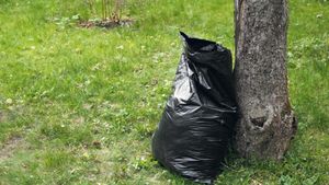 Ce a putut să găsească în pământ un muncitor în construcții în timp ce săpa. Când a deschis sacul nu i-a venit să creadă