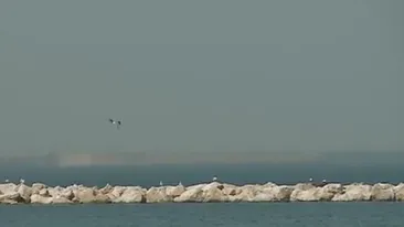 Se întâmplă fenomene paranormale pe litorarul românesc? Turiştilor nu le-a venit să creadă ce a apărut pe apă 