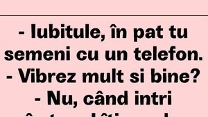 BANC | "Iubitule, în pat semeni cu un telefon"