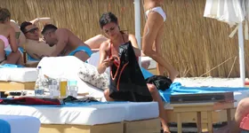 Galerie foto - poza 4