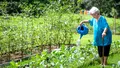Ilegal în curte fără autorizație. Vecinii te vor reclama. Proprietarii de case trebuie să depună cerere la Primărie