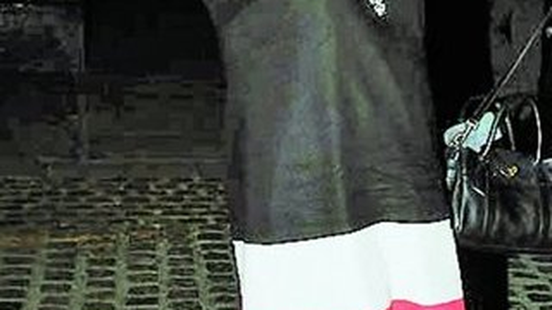 Fosta concurenta de la "Britanicii au talent" a dat iama-n alcool. Susan Boyle , "bunicuta" manga