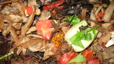 Croatii au mancat viermi si serpi la masa de Craciun