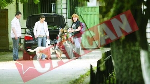 Maria Basescu se poarta cu manusi cu maidanezii