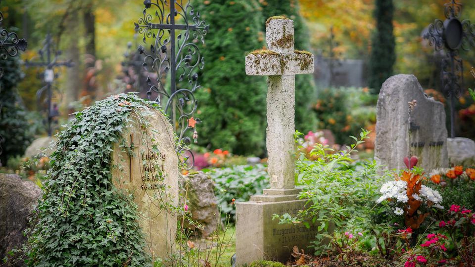 Domnul Gabriel, un paznic de cimitir din Pomet, Cluj Napoca, a uimit pe toată lumea. Ce făcea bărbatul în maşină, în fiecare noapte