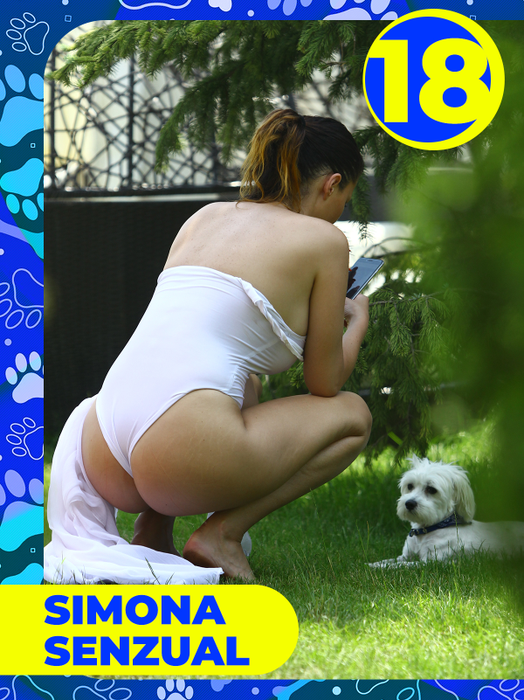 Top 25 vedete care și-au etalat costumele de baie, dar cățeii lor au făcut senzaţie! Delia, Bianca Drăgușanu sau Lora, eclipsate de patrupezi la malul mării
